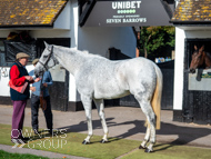 NH051025-17 - The Carpenter